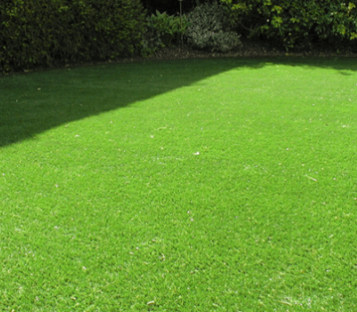 Rumput-jepang.png